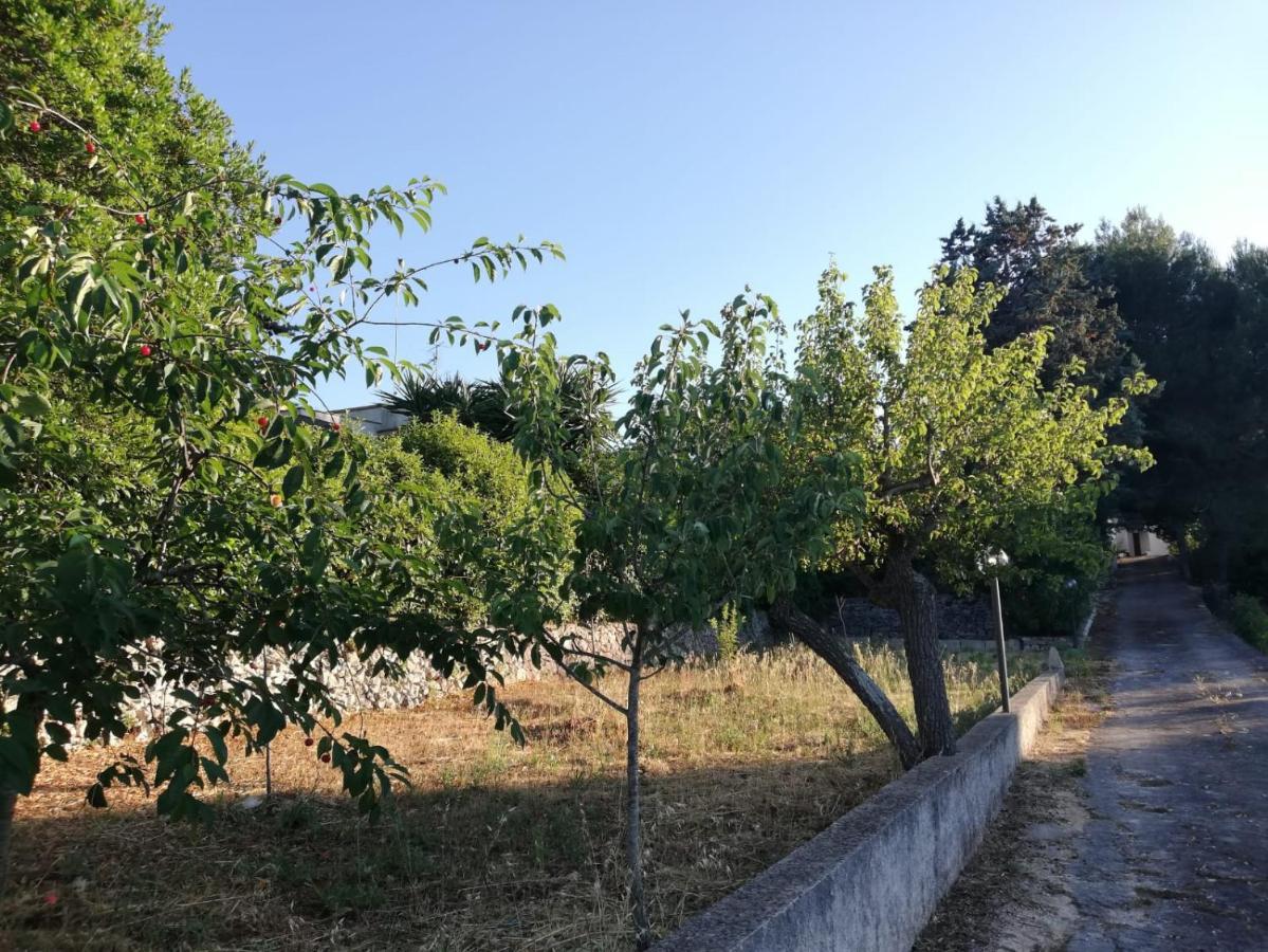 Ciao B&B Selva Di Fasano Buitenkant foto